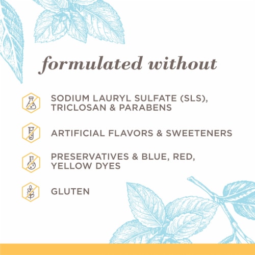 Burt's Bees Mountain Mint Fluoride Extra White Toothpaste Perspective: top