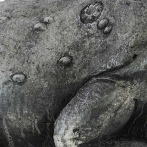 Saltoro Sherpi Sleeping Textured Fiberstone Frog Figurine, Washed Gray Perspective: top