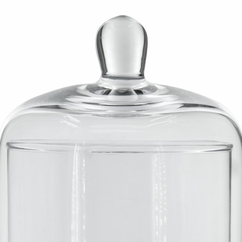 Set of 2 Large Glass Serving Platters with Dome and Finial Handle, Clear- Saltoro Sherpi Perspective: top