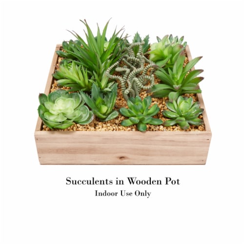Faux Succulents  Assorted Lifelike Plastic Greenery Arrangement with 10 Inch Decorative Perspective: top