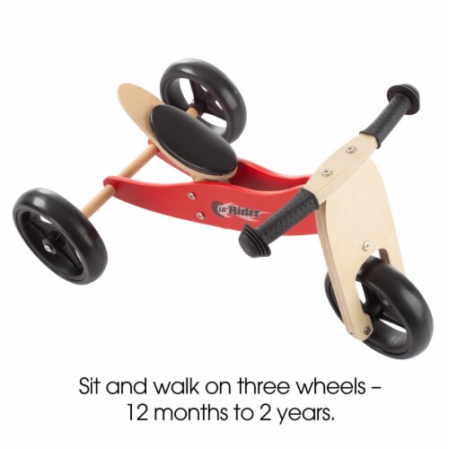 2 in 1 Wooden Balance Bike Push Tricycle Ride On Toy with Easy