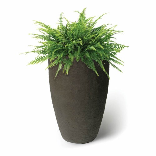 Algreen Valencia Curve Flower Pot Planter, Brown & FoxFarm Potting Soil, 12 Qt Perspective: top