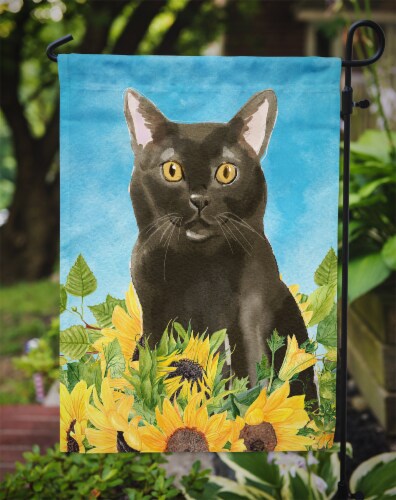 Carolines Treasures CK3152GF Bombay in Sunflowers Garden Flag Perspective: top