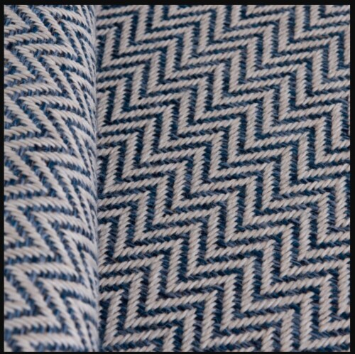 Fred Meyer Woven Blue Area Rug Perspective: top