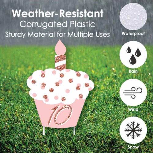 Big Dot of Happiness 10th Pink Rose Gold Birthday Outdoor 
