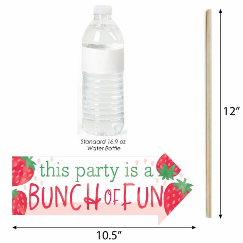 Big Dot of Happiness Funny Berry Sweet Strawberry Birthday Party Photo Booth Props 10 Pc Perspective: top
