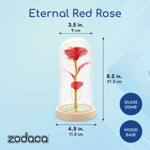 Lighted rose in glass new arrivals