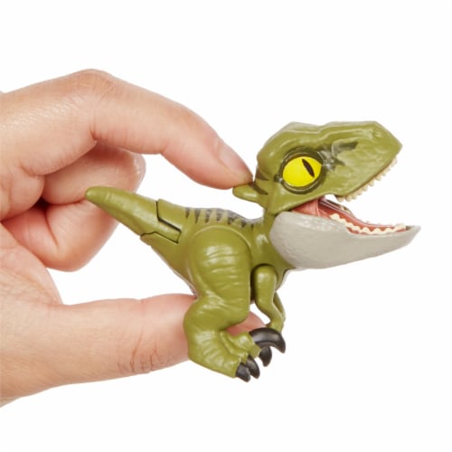 triceratops tooth