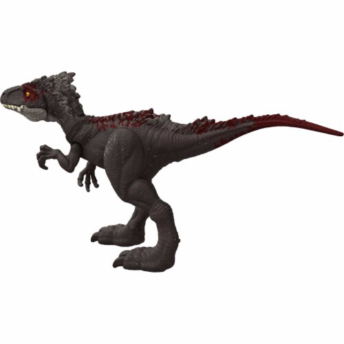 morusintrepidus
