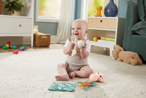 Fisher-Price® So Many Senses Gift Set Perspective: top