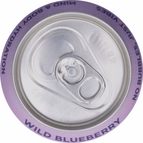 Leisure Project Wild Blueberry Nutrient Enhanced Water Can Perspective: top