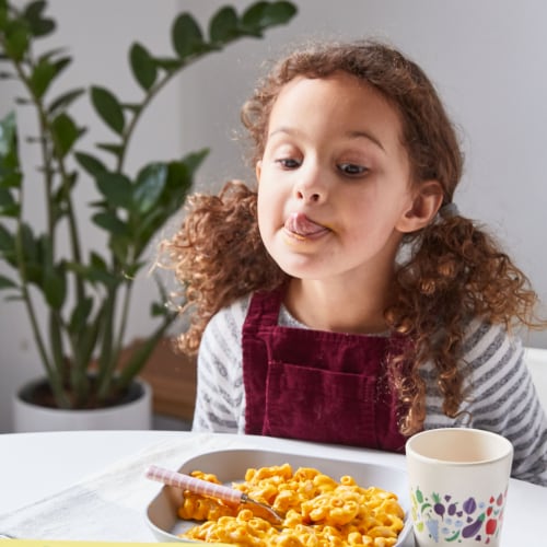 Nurture Life Healthy Toddler & Kid Food Picky Eater 6-Meal Variety Pack, Organic Focus Perspective: top