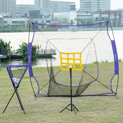 Outdoor Batting Practice Set w/ 120 Ball Collector & Beginner Tee Stand, Purple Perspective: top