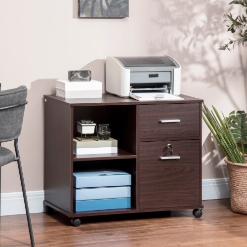 Filing Cabinet Mobile Printer Stand w Storage Shelf and 2 Drawers