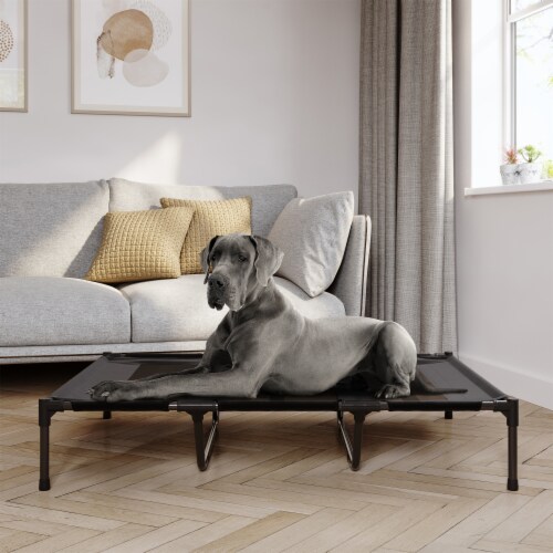 Treat a pet dog bed hotsell