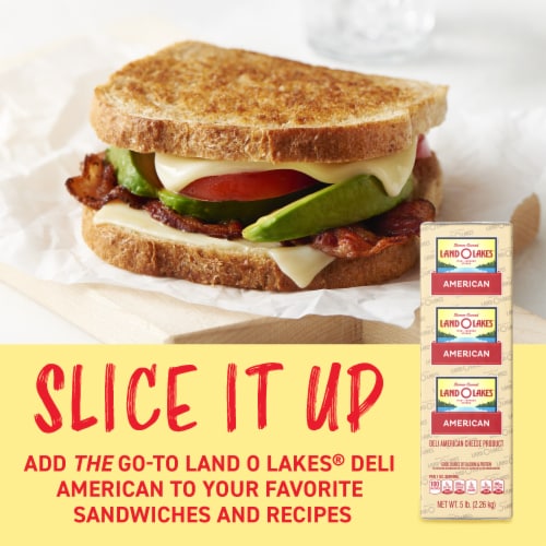 Land O Lakes White Deli American Cheese Product Deli Sliced to Order Perspective: top