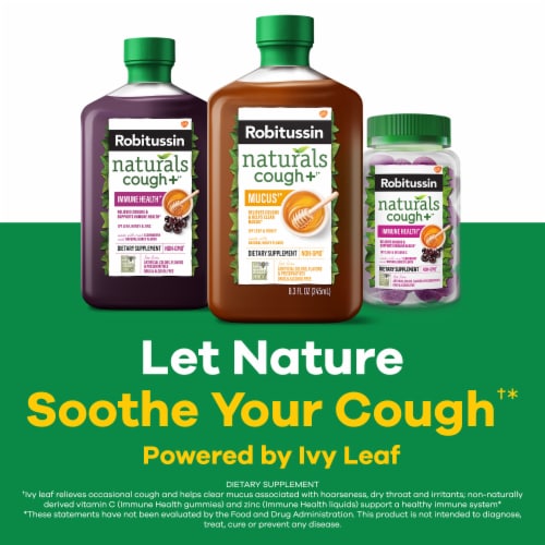Robitussin Naturals Cough Relief Honey & Ivy Leaf Syrup Perspective: top