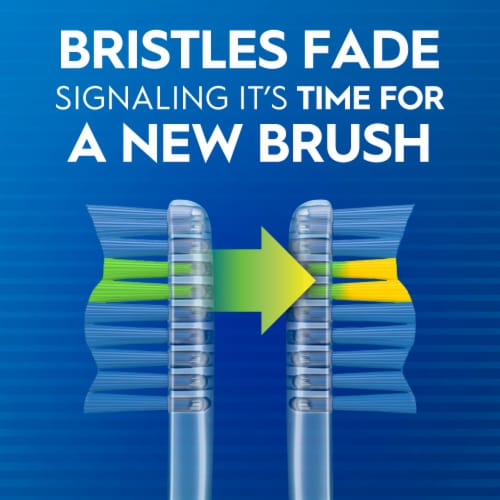 Oral-B Indicator Color Collection Toothbrushes Perspective: top