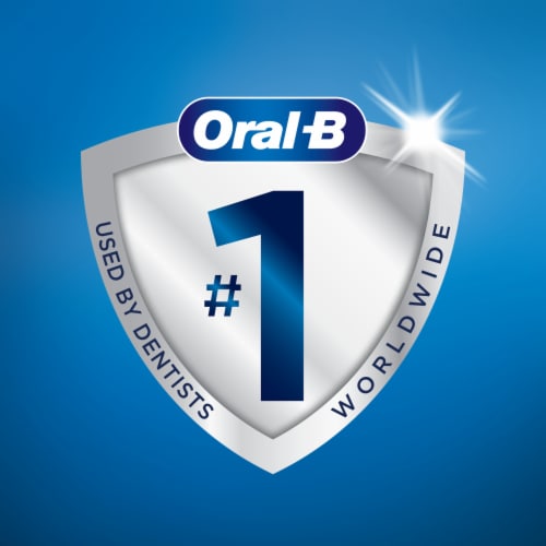 Oral-B Charcoal Infused Mint Dental Floss Picks Perspective: top