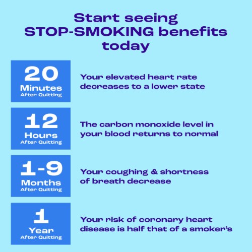 Nicorette Nicotine Gum Stop Smoking Aid, 2mg, White Ice Mint Flavor - 160 Count Perspective: top