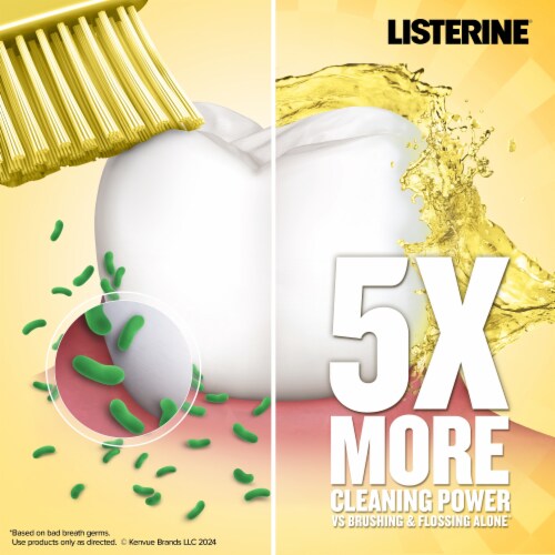 Listerine Antiseptic Mouthwash Original Daily Oral Rinse Kills 99% of Germs that Cause Bad Breath Perspective: top
