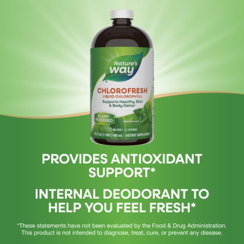 Nature's Way Chlorofresh Skin and Body Detox Chlorophyll Mint Flavored Liquid Perspective: top