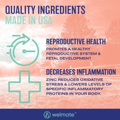 Welmate Zinc Sulfate 220mg Dietary Supplement Immune Health Support