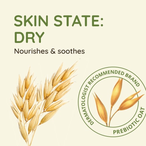 Aveeno Daily Moisturizing Body Wash Perspective: top