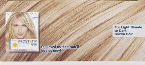 Clairol Nice 'n Easy Frost & Tip Hair Color Perspective: top