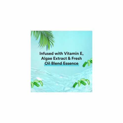 Suave Essentials Ocean Breeze Refreshing Body Wash 18 fl oz (Pack of 5) Perspective: top