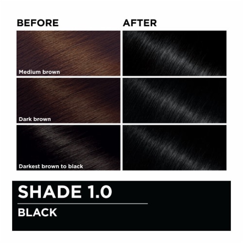 Garnier Olia Oil Powered Permanent Hair Color 1.0 Black Perspective: top