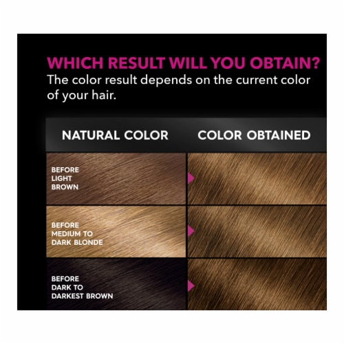 Garnier Olia Oil Powered 6.3 Light Golden Brown Permanent Hair Color Perspective: top
