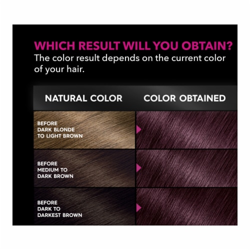 Garnier Olia 5.12 Medium Royal Amethyst Oil Powered Ammonia Free Permanent Hair Color Perspective: top