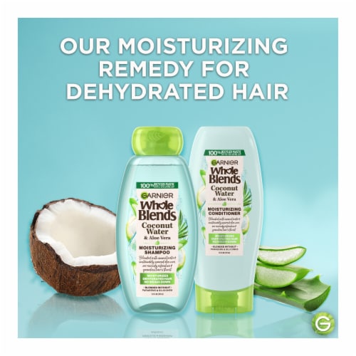 Garnier Whole Blends Coconut Water and Aloe Vera Moisturizing Conditioner for Dehydrated Hair Perspective: top