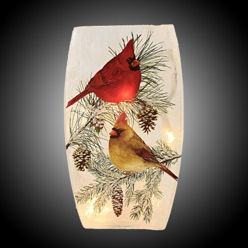 Stony Creek Christmas Cardinals PreLit Med Electric Red Bird Winter