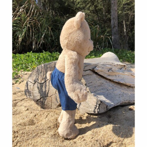 Bear Jean Shorts Perspective: top
