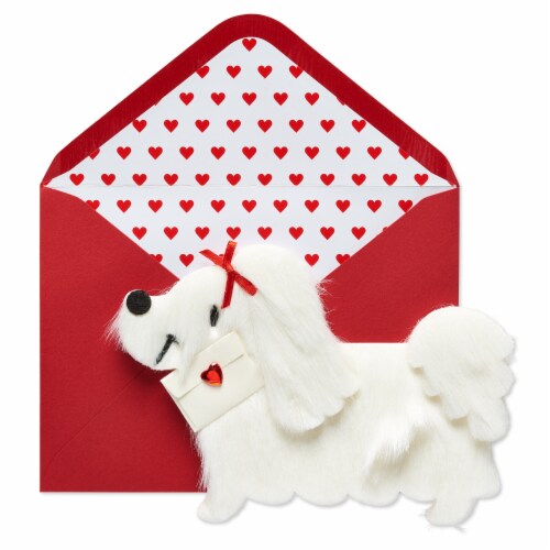 Papyrus Valentine's Day Greeting Card (White Fur Dog with Letter) Perspective: top