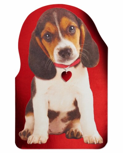 American Greetings #56 Valentine's Day Card (Puppy) Perspective: top