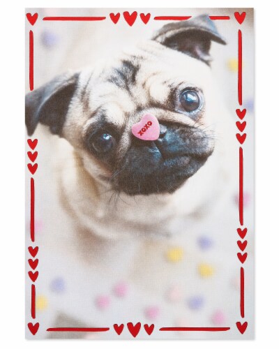 American Greetings Valentine's Day Card (Pug with Candy Heart) Perspective: top