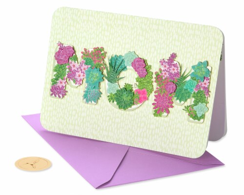 Papyrus #54 Mother's Day Card for Mom (Succulent Planters) Perspective: top