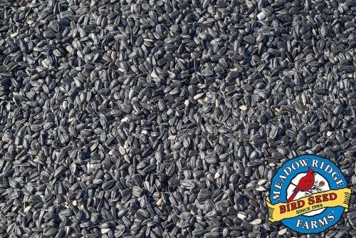JRK Seed & Turf Supply B200010 10 lbs. Black Oil Sunflower Wild Bird Food Perspective: top