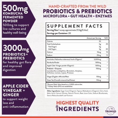 Natural Kombucha Powder Probiotic Supplement - On-The-Go Powder (Mix with Water and Drink) Perspective: top