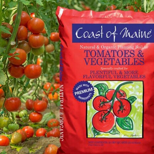 Coast of Maine 20 Qt. Tomato & Vegetable Planting Soil 1CBTVS20QT Perspective: top