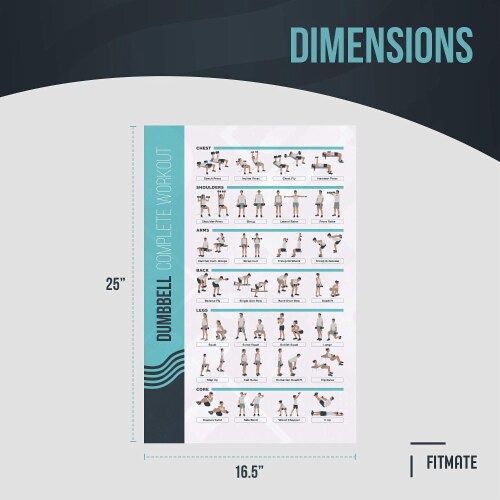 FitMate Dumbbell Workout Exercise Poster - (16.5 x 25 Inch) Perspective: top