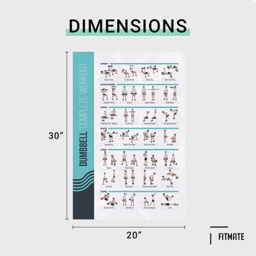 FitMate Dumbbell and Barbell Bundle Workout Exercise Poster - Workout Routine Perspective: top