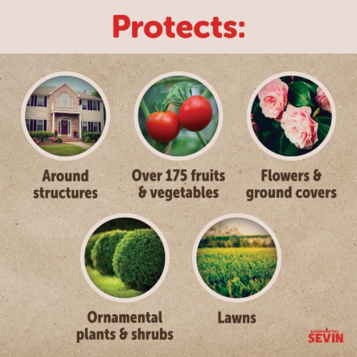 Garden Tech Sevin 10 Lb. Ready To Use Granules Lawn Insect Killer 100547215 Perspective: top
