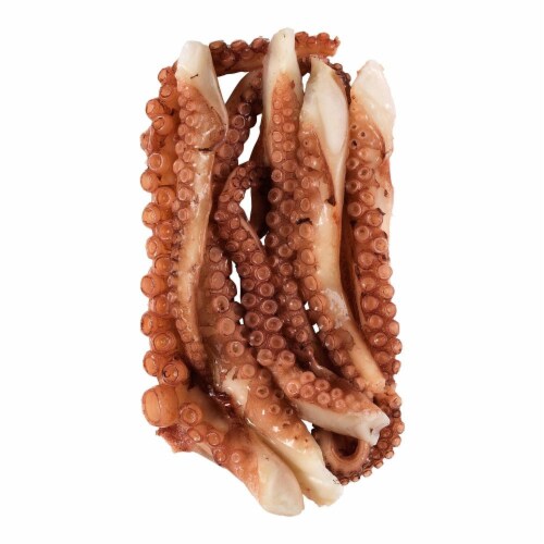 PanaPesca Octopus Tentacles Perspective: top