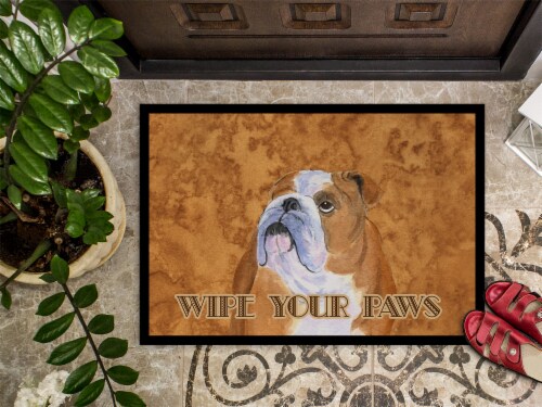 Carolines Treasures SS4893MAT Bulldog English Wipe your Paws Doormat 18x27 18Hx27W QFC