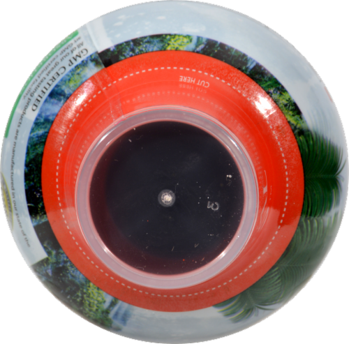 Tropical Oasis Liquid Glucosamine Chondroitin Supplement Perspective: top