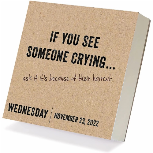Desktop Calendar 2022 AnitAffirmations 5.25 , 12 Month TearOff Pages